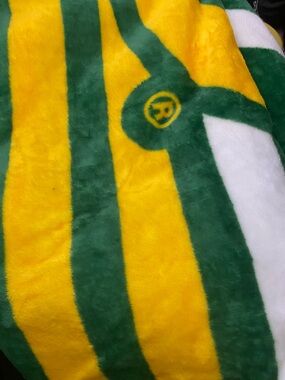 DUCKS throw blanket